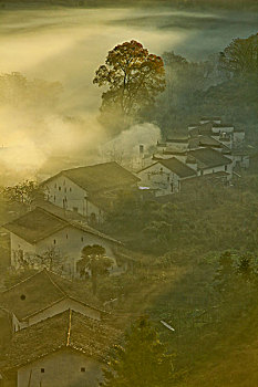 binh luan lo de hom nay