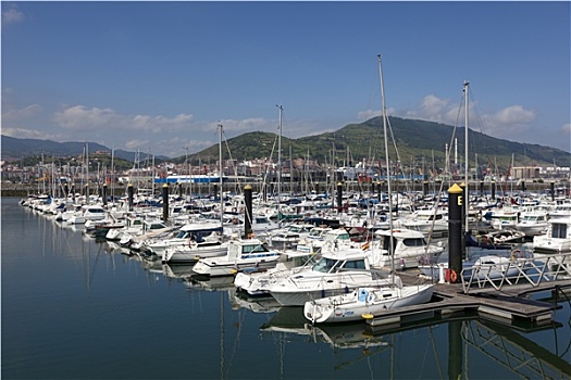 rong bach kim mb