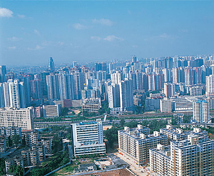 soi cau bach thu888