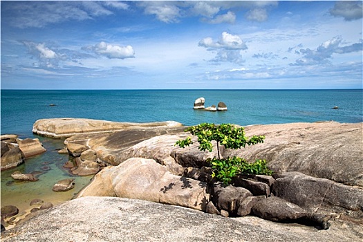 tra cứu xsmb