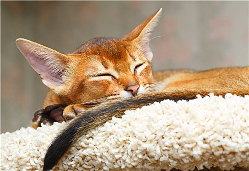 dự đoán xổ số kiến thiết miền nam