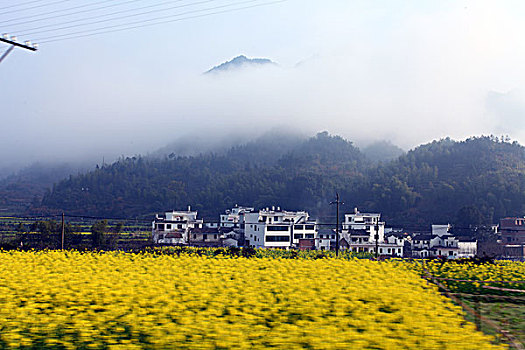 dự đoán số đề hôm nay