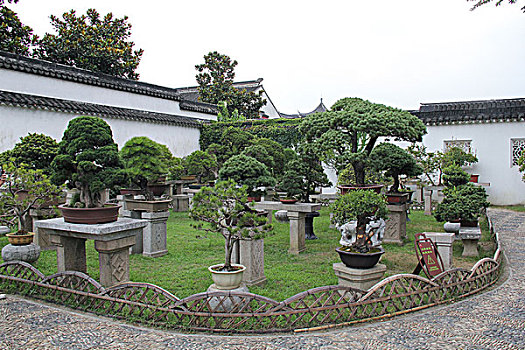 soi cau chuan 86