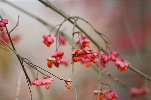 xổ số an giang tuần rồi