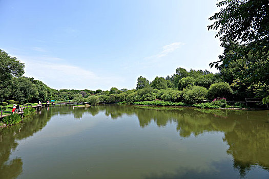 soi cau 88 99