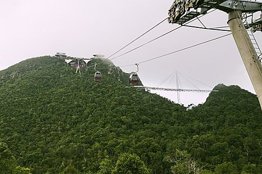 4 số vip