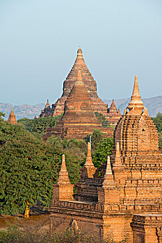 bach thu lo kep
